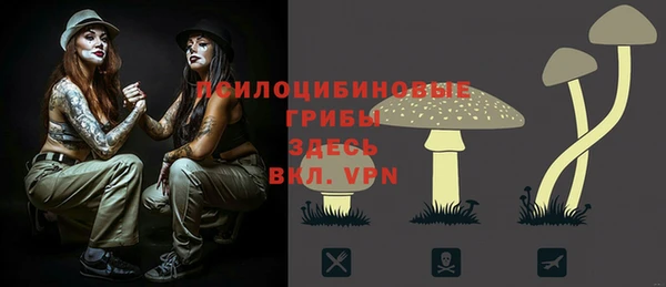 jwh Медвежьегорск