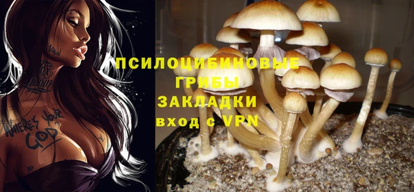 первитин Михайловка