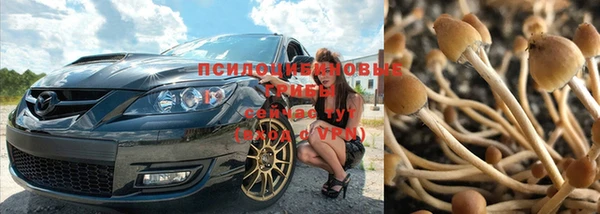MESCALINE Михайловск