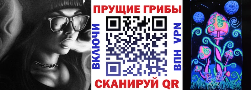 Купить  Кудрово  Псилоцибиновые грибы Psilocybe 