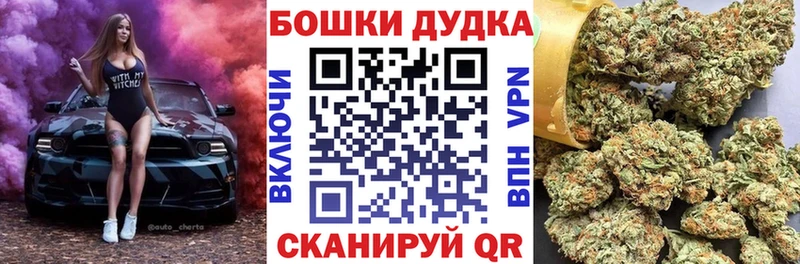 Купить где  Кудрово  Бошки марихуана ГИДРОПОН 